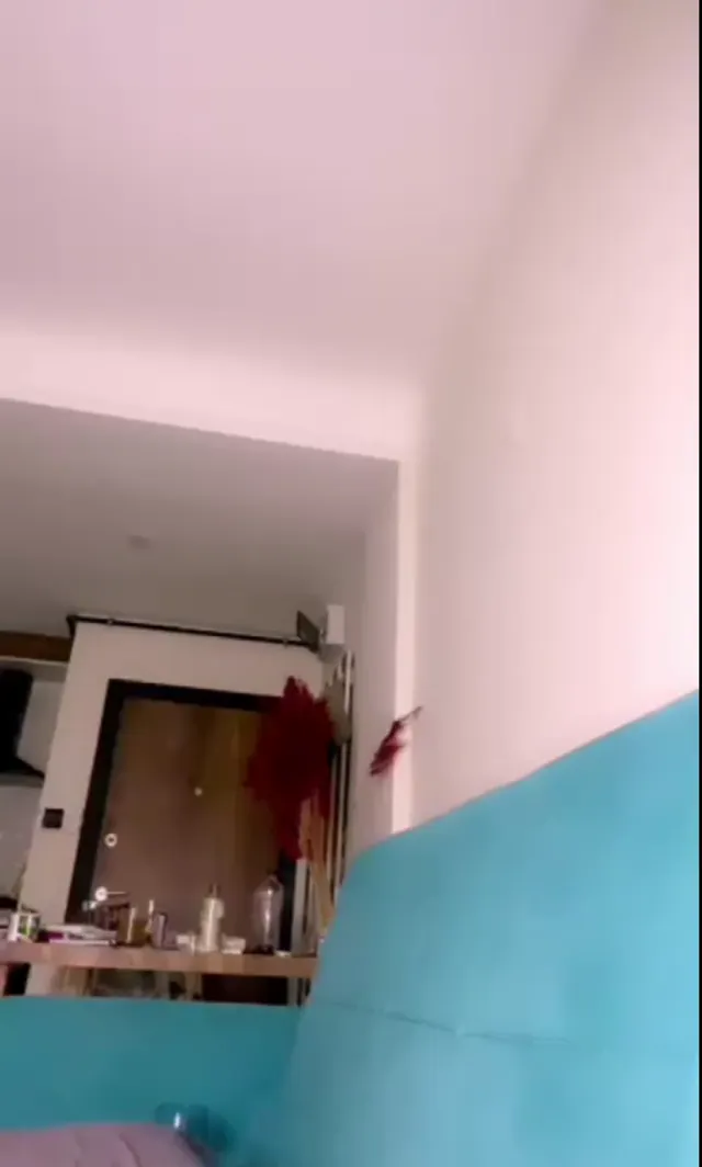 Alina Rüya — Tango Alina Rüya — Türk ifşa · sahne 1
