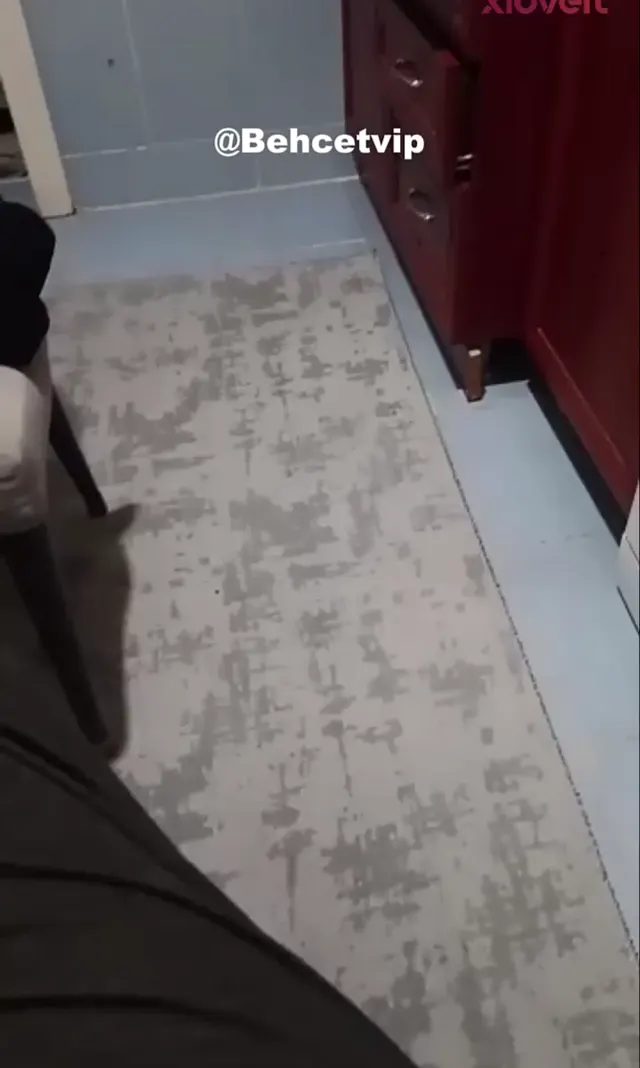 Merve canlı yayında oral sekse başladı — Mobil Porno · sahne 1