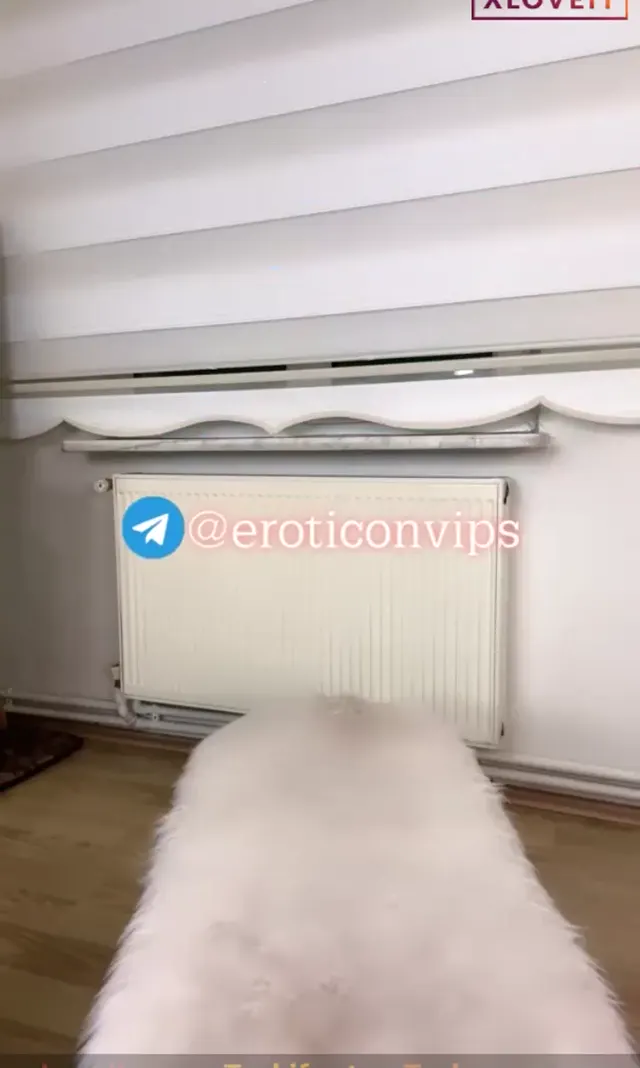 Puding ifşa Çürümüş amcıklı dildo show — Puding — Canlı Yayınlar · sahne 1