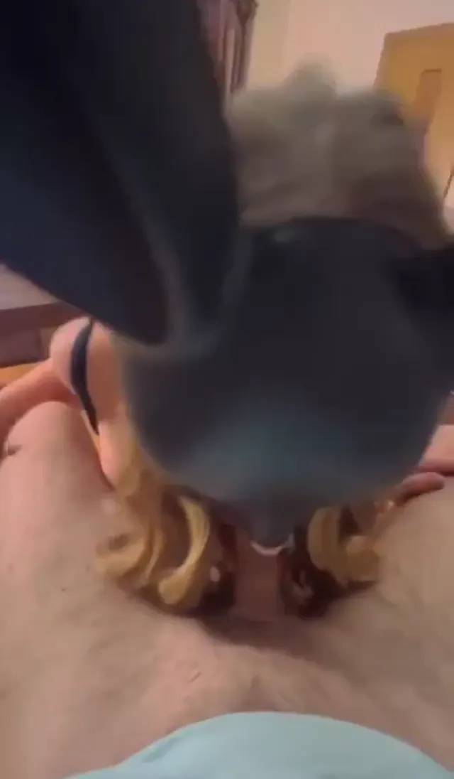 Sakso video Tango Kivi ilk defa dalgayı ağzına aldı — Tango Kivi — Mobil Porno · sahne 3