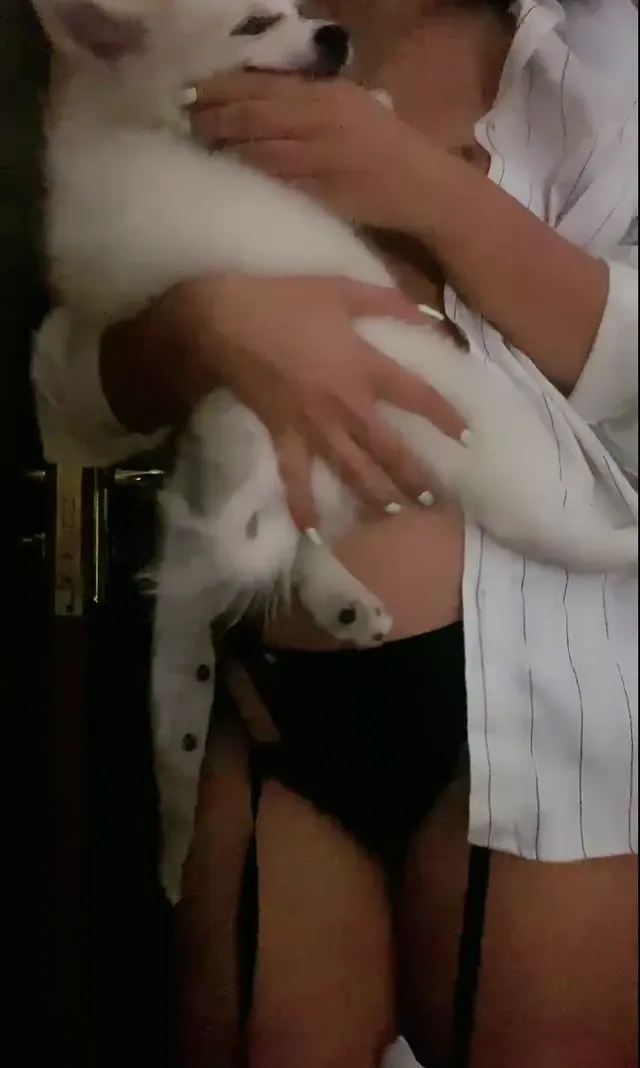 Siyah Kedi — Siyahkedi · sahne 3