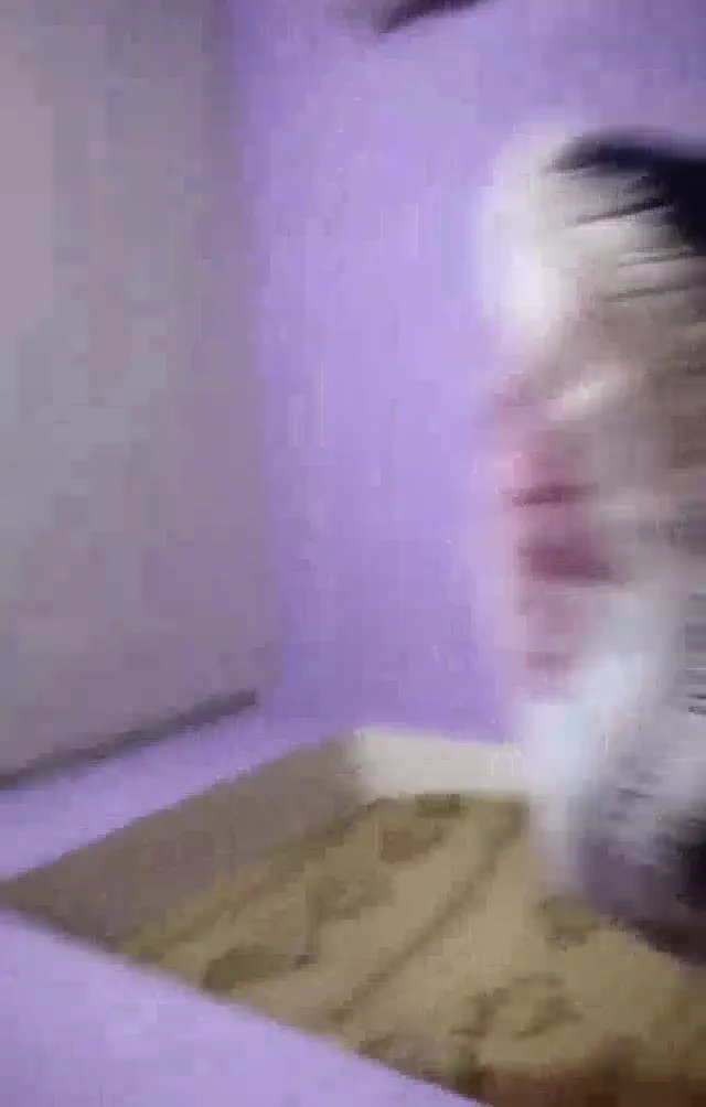 Tango Busem ifşa Sağlam kızın amcık okşamasını seyret — Bedava Porno · sahne 3